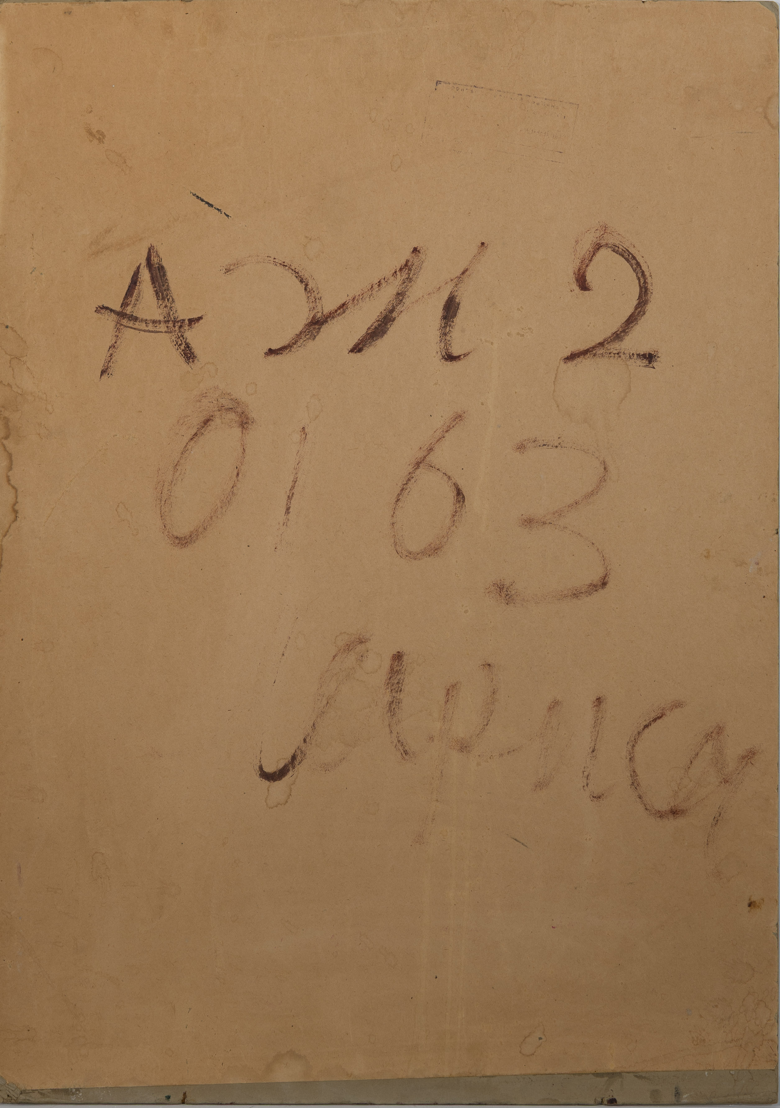 Портрет матери Ирины Владимировны Ермаковой - Виргинии Никитичны 