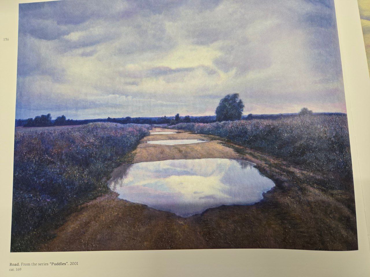 Дорога (из серии "Лужи")