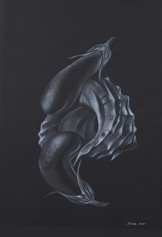 Без названия