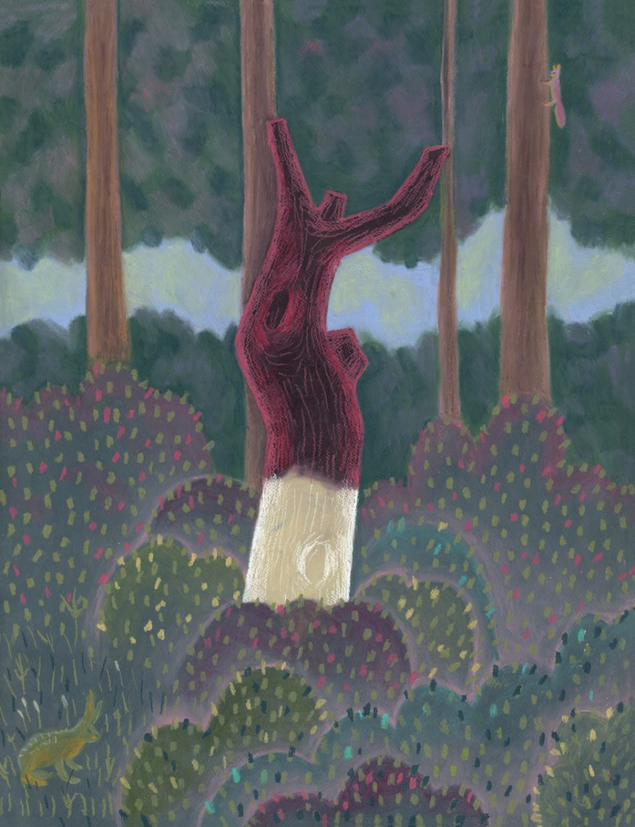 Долбилина Алина