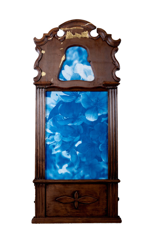 Цвет времени